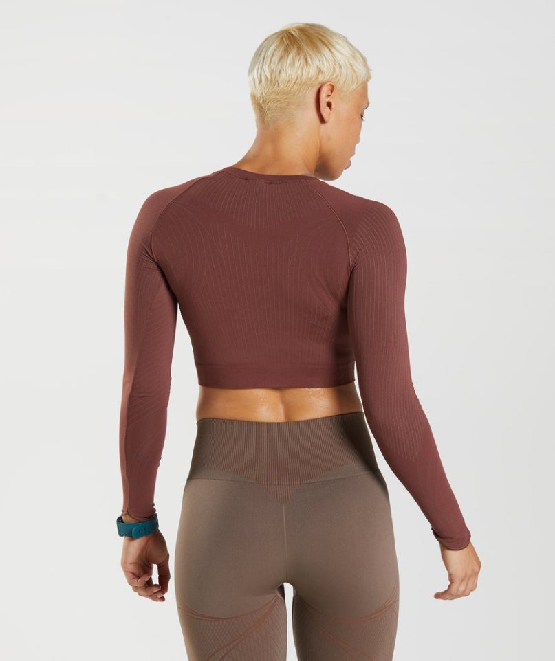 Przycięte Topy Gymshark Apex Seamless Damskie Ciemny Brązowe | PL 824HSR